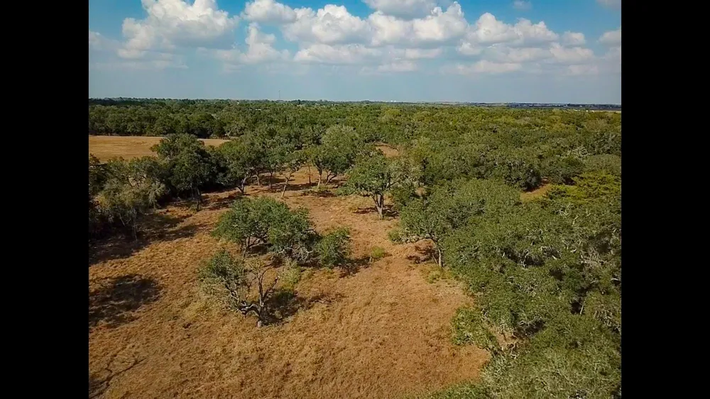 716 L Hrabovsky Road Yoakum, TX 77995