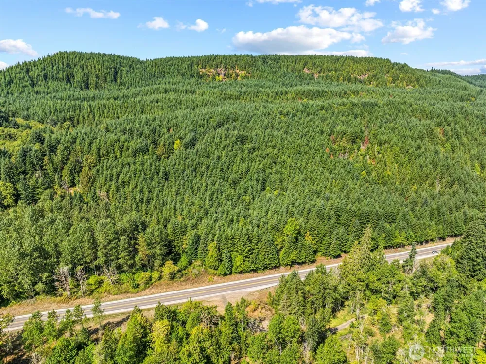 0 NKA State Route 504 Highway Toutle, WA 98649