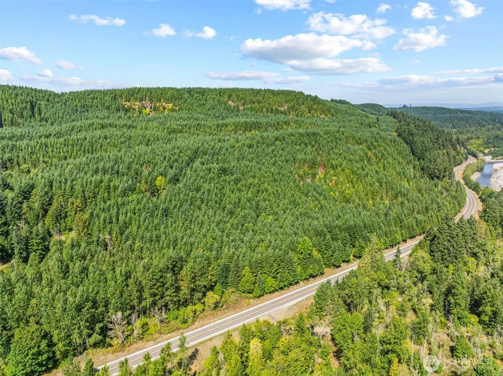 0 NKA State Route 504 Highway Toutle, WA 98649