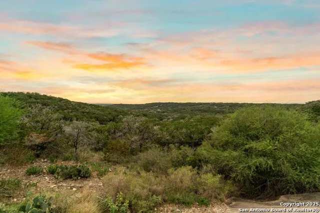 LOT 35B Pr 2533 Mico, TX 78056