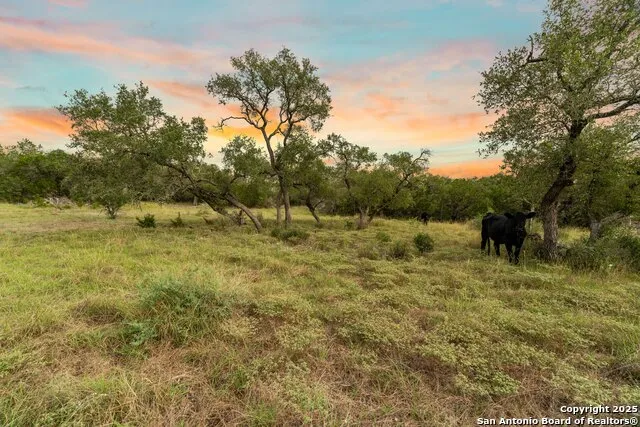 LOT 35B Pr 2533 Mico, TX 78056