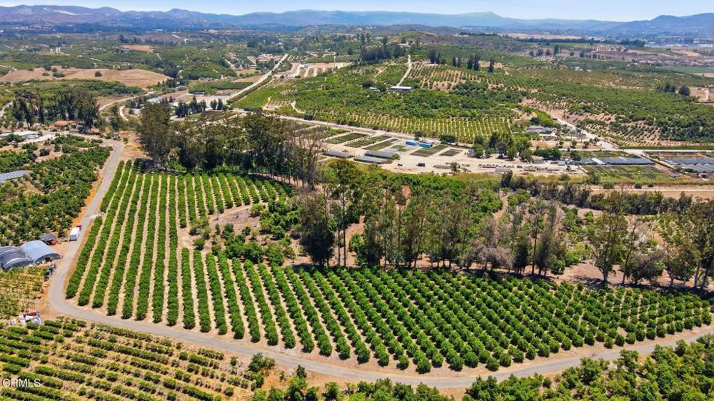 Manzanillo Drive Moorpark, CA 93021