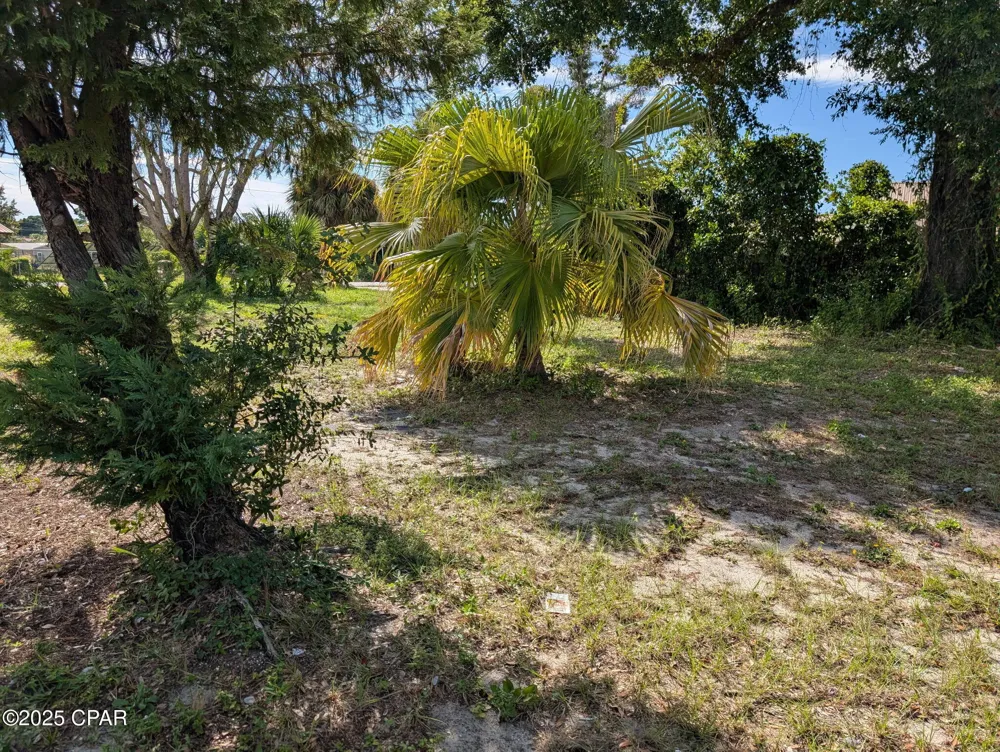 1613 E 7th Street Panama City, FL 32401