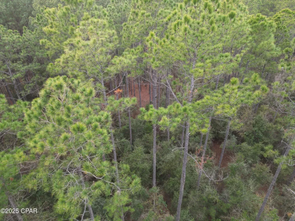 20 Hawthorne Trail Bonifay, FL 32425