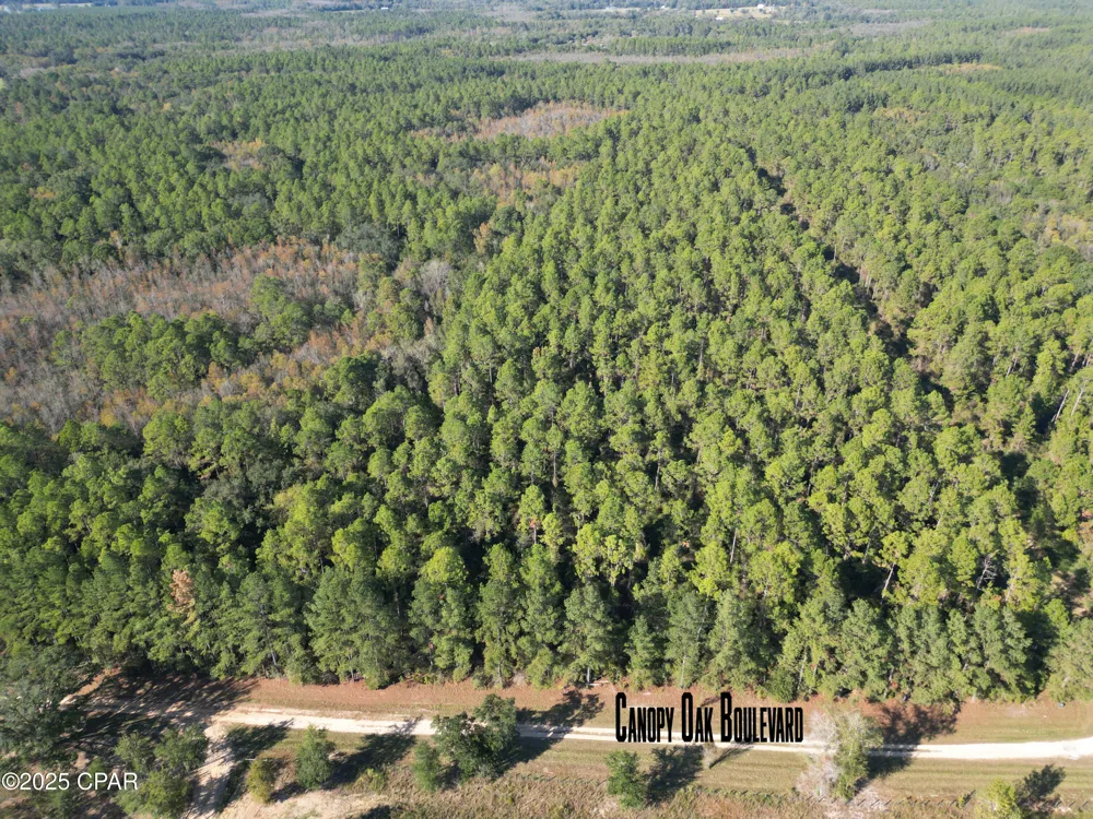 20 Hawthorne Trail Bonifay, FL 32425