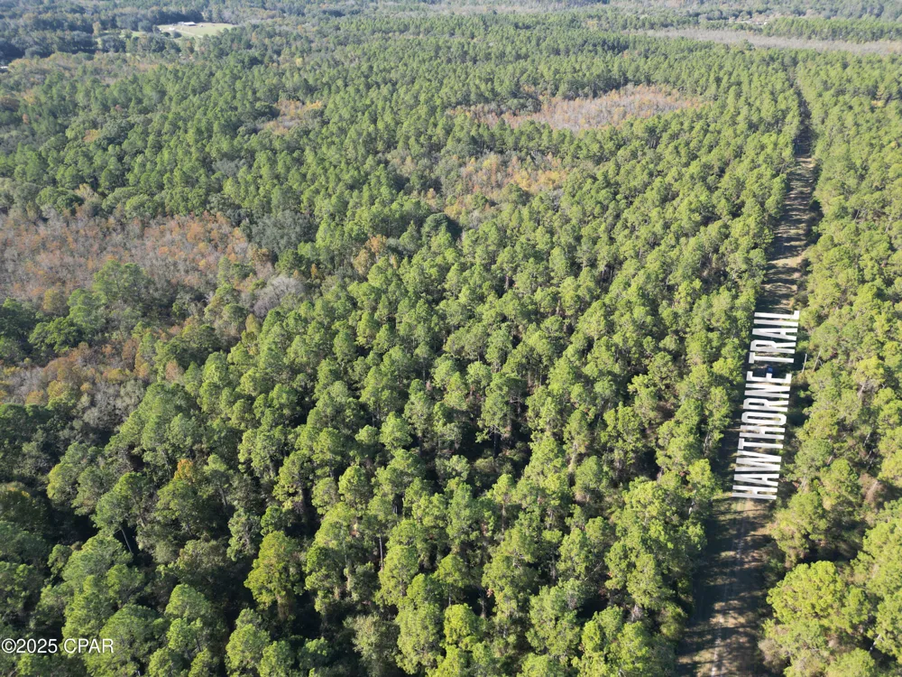 20 Hawthorne Trail Bonifay, FL 32425