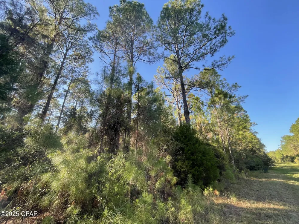 20 Hawthorne Trail Bonifay, FL 32425
