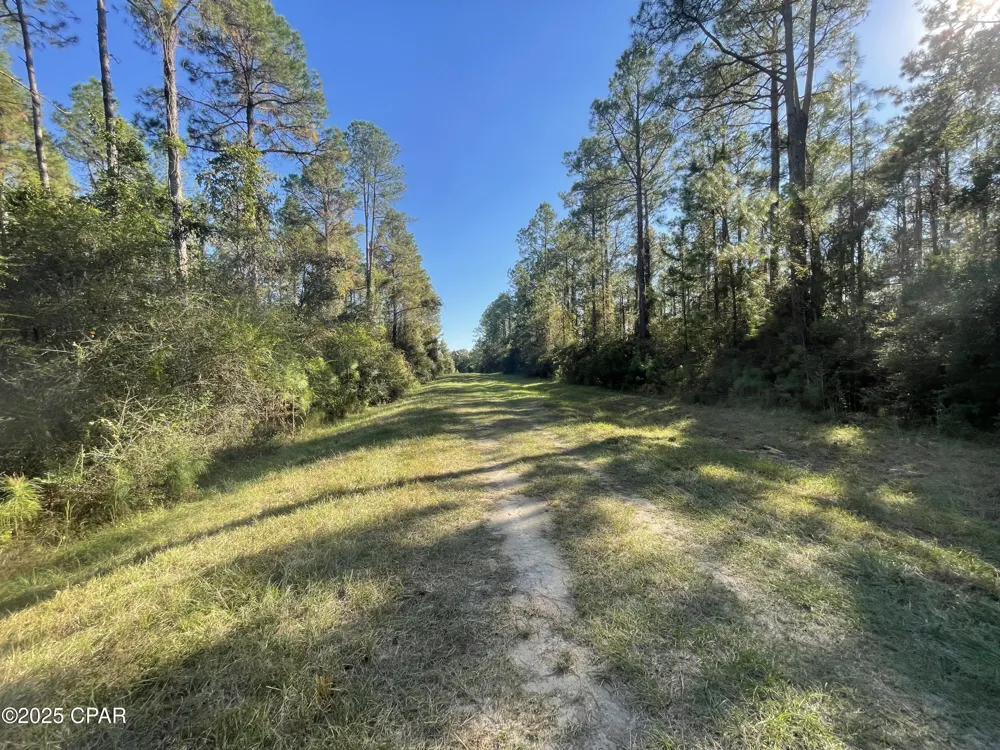 10 Hawthorne Trail Bonifay, FL 32425
