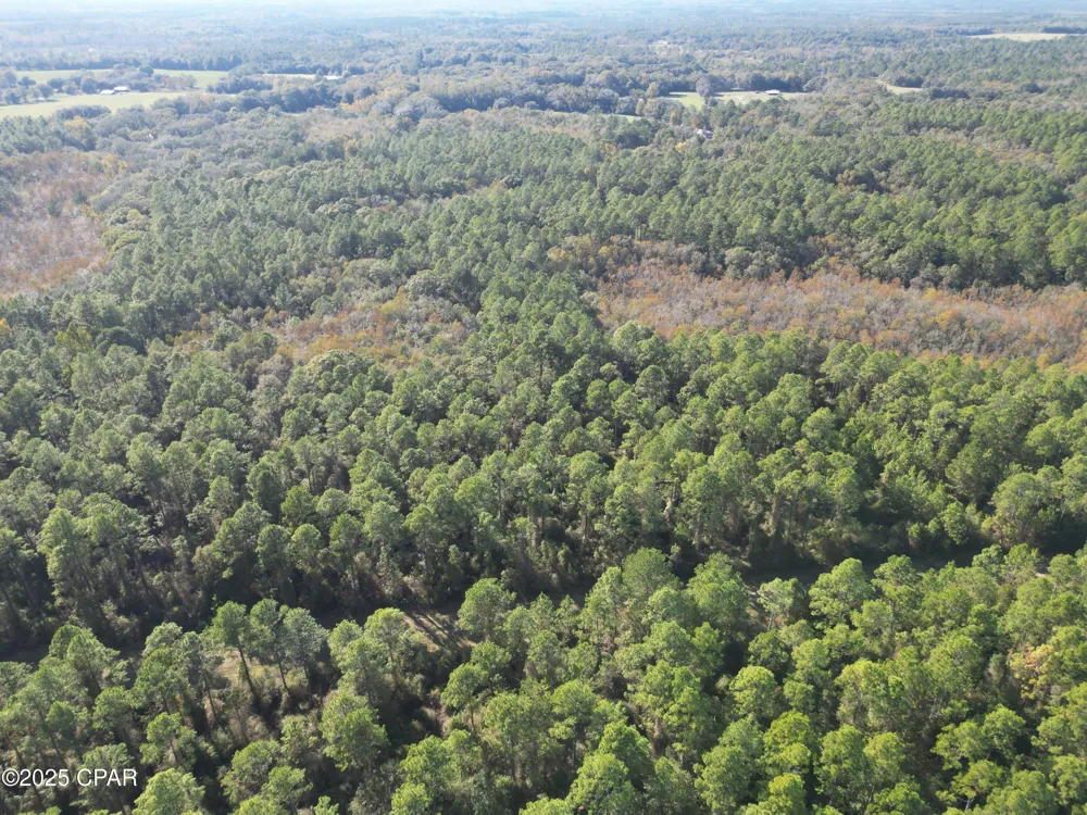 10 Hawthorne Trail Bonifay, FL 32425