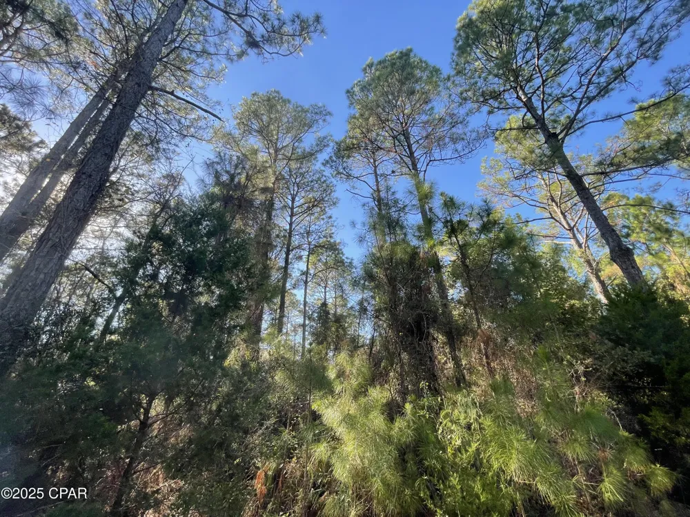 10 Hawthorne Trail Bonifay, FL 32425