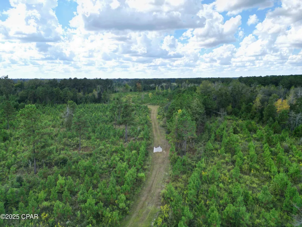 River Road Sneads, FL 32460
