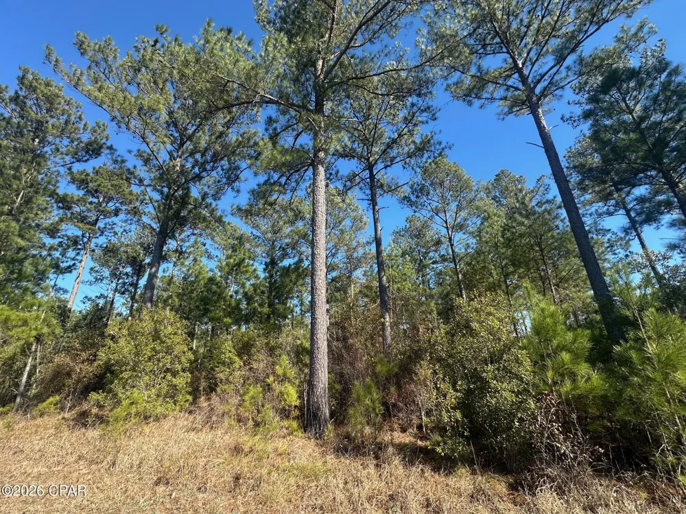 River Road Sneads, FL 32460