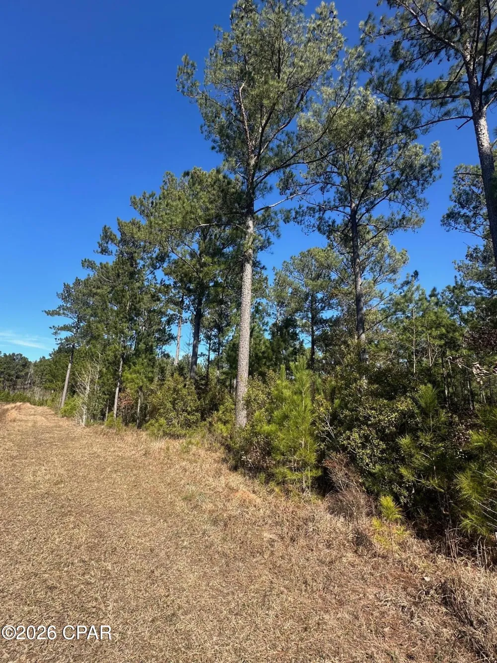 River Road Sneads, FL 32460