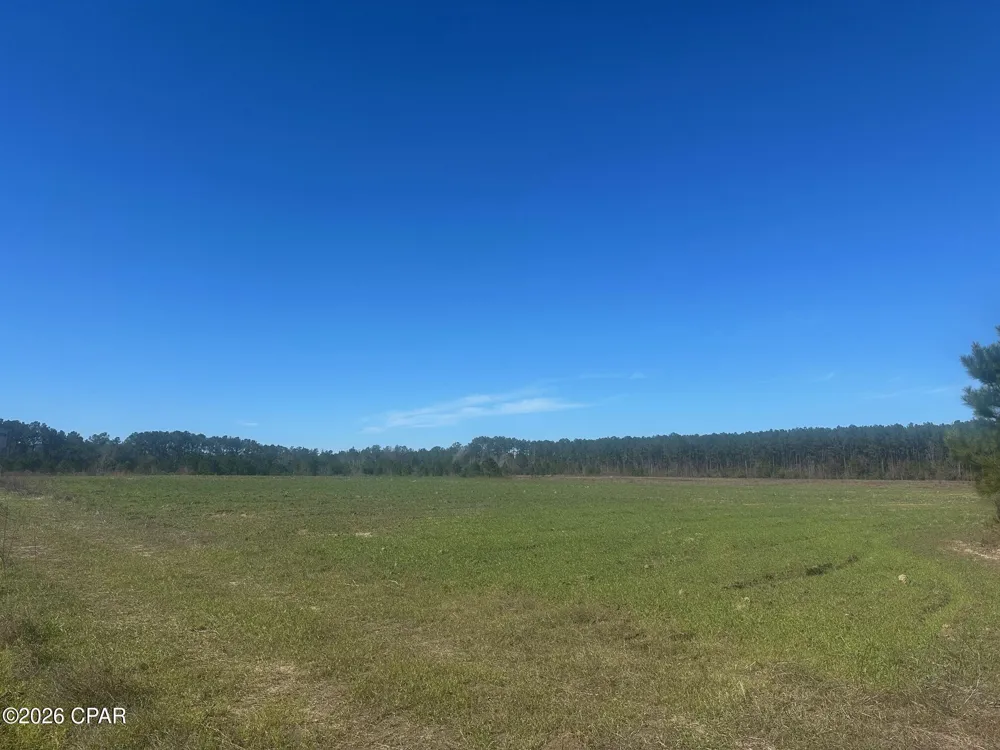 River Road Sneads, FL 32460