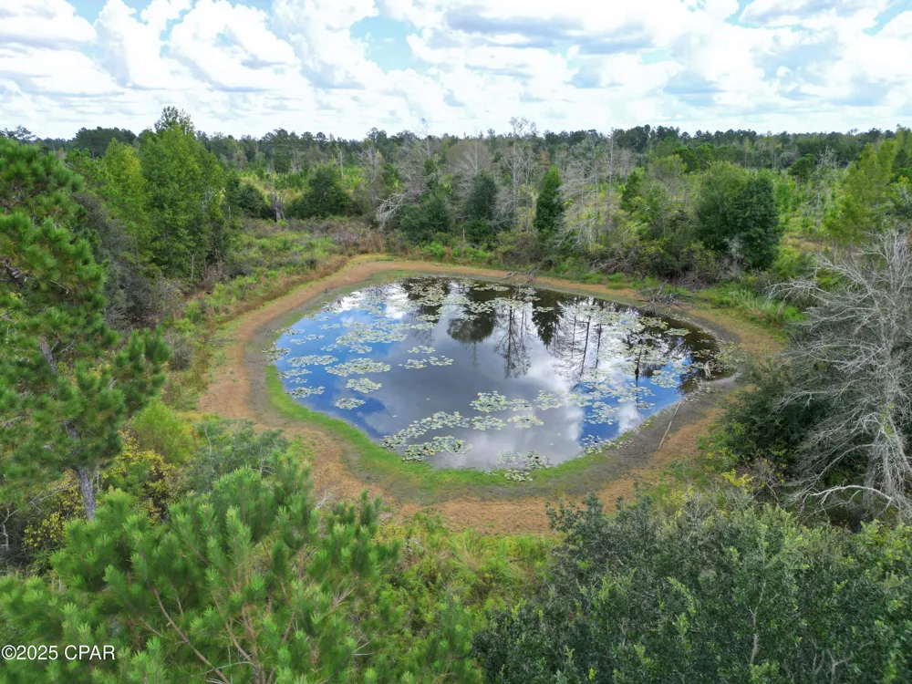 River Road Sneads, FL 32460