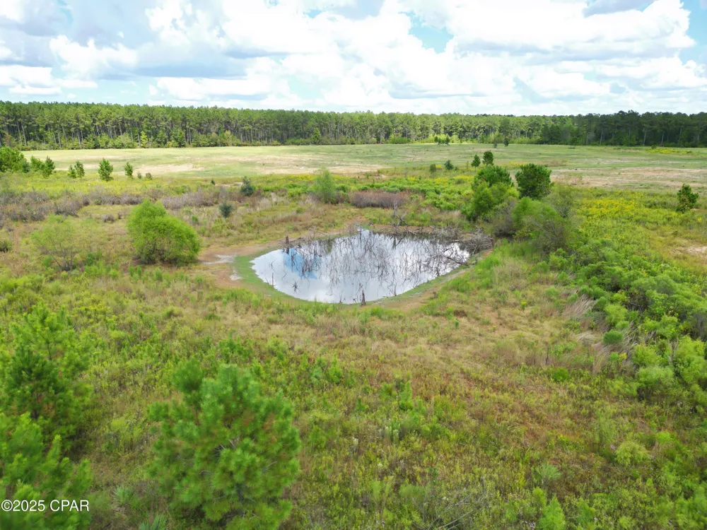 River Road Sneads, FL 32460