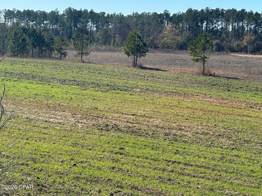 River Road Sneads, FL 32460