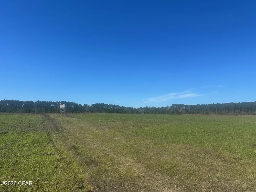River Road Sneads, FL 32460