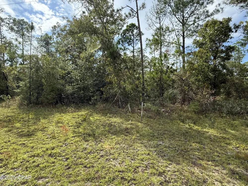 Beaverhead Street Alford, FL 32420