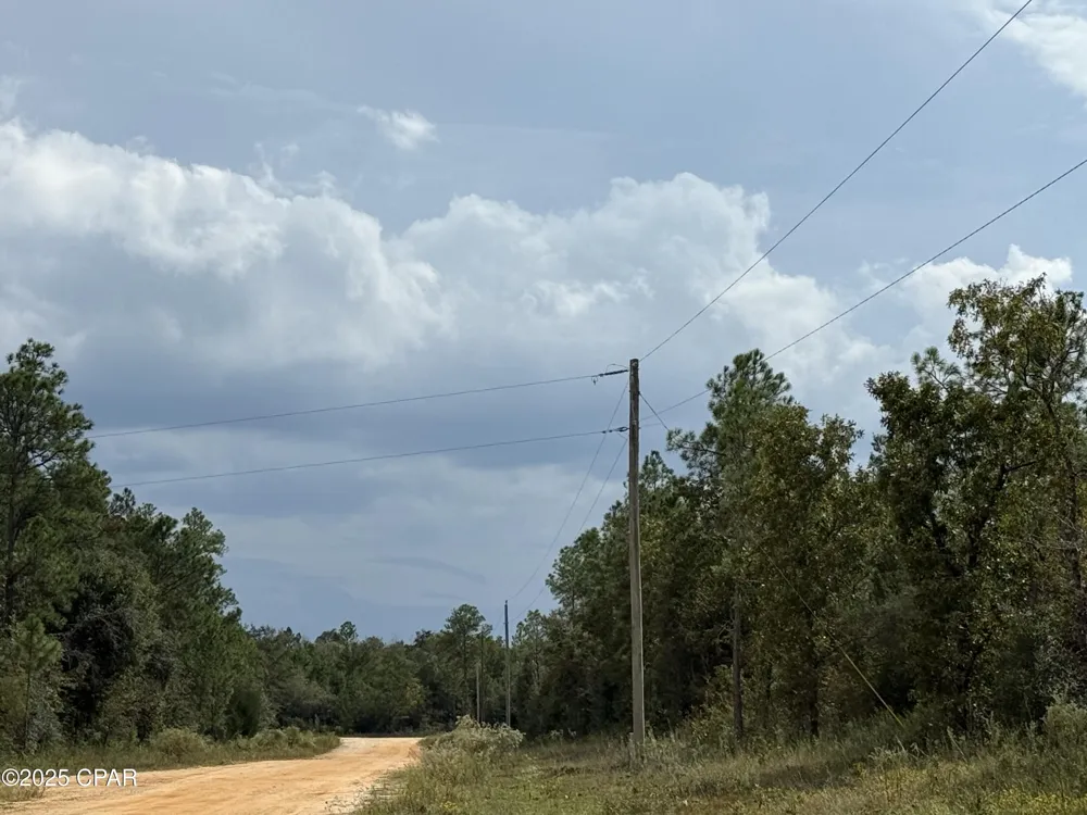 Beaverhead Street Alford, FL 32420