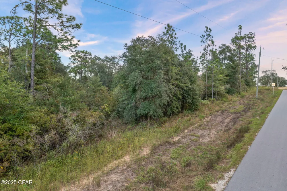 Moss Hill Road Chipley, FL 32428