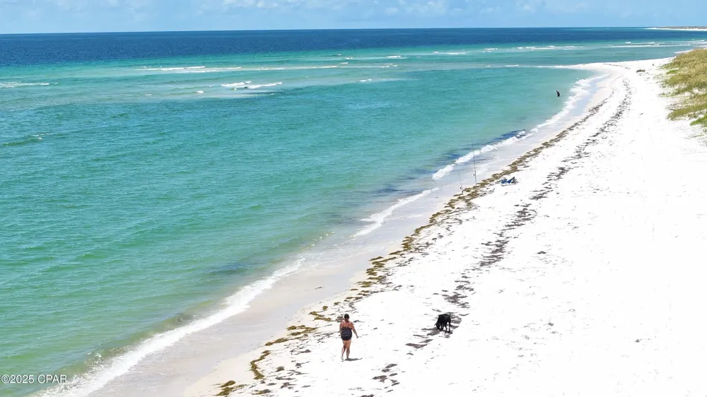 1001 Highway 98 Mexico Beach, FL 32410