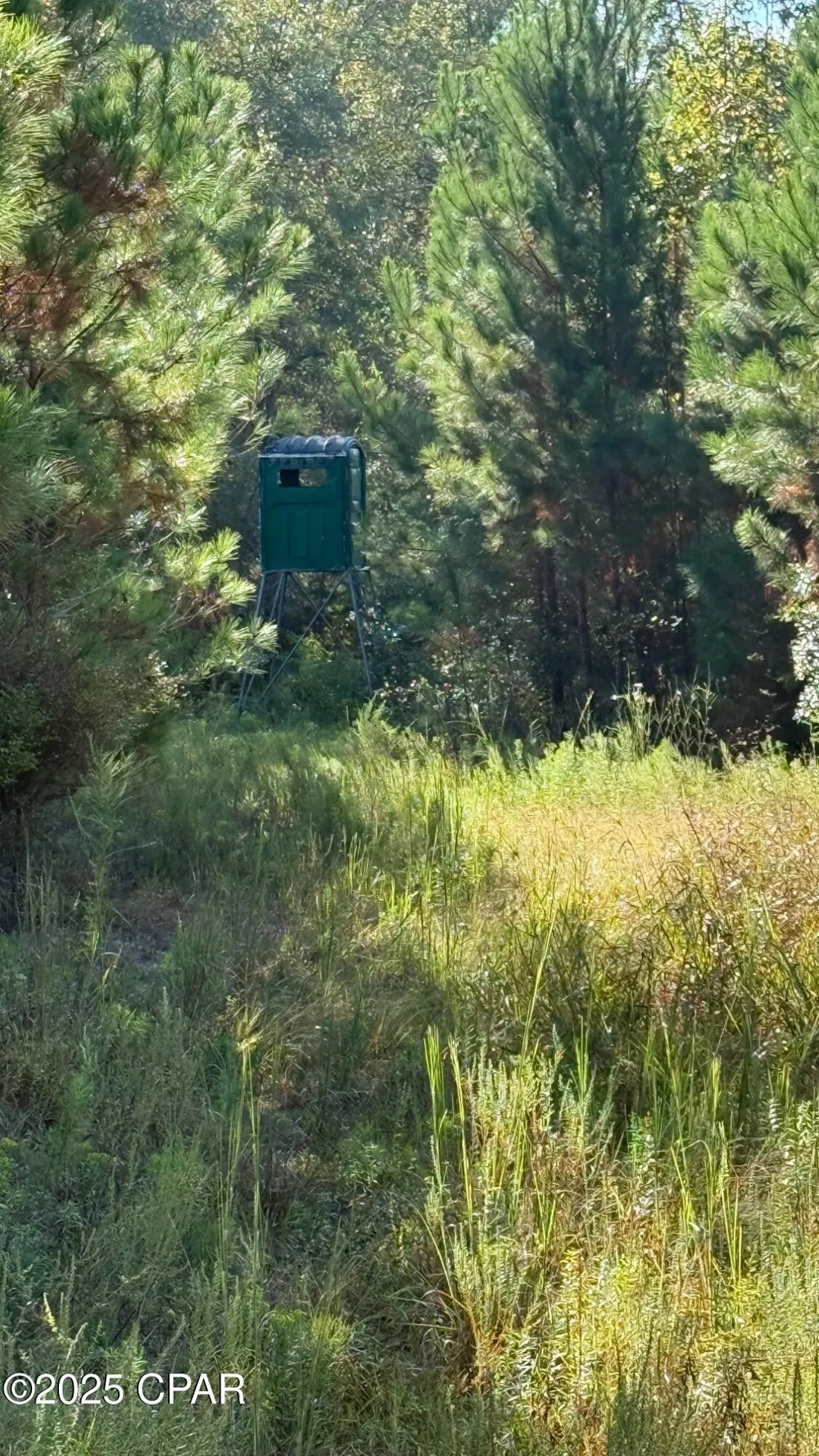 Hwy 2 Graceville, FL 32440