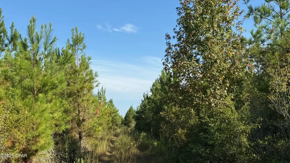 Hwy 2 Graceville, FL 32440