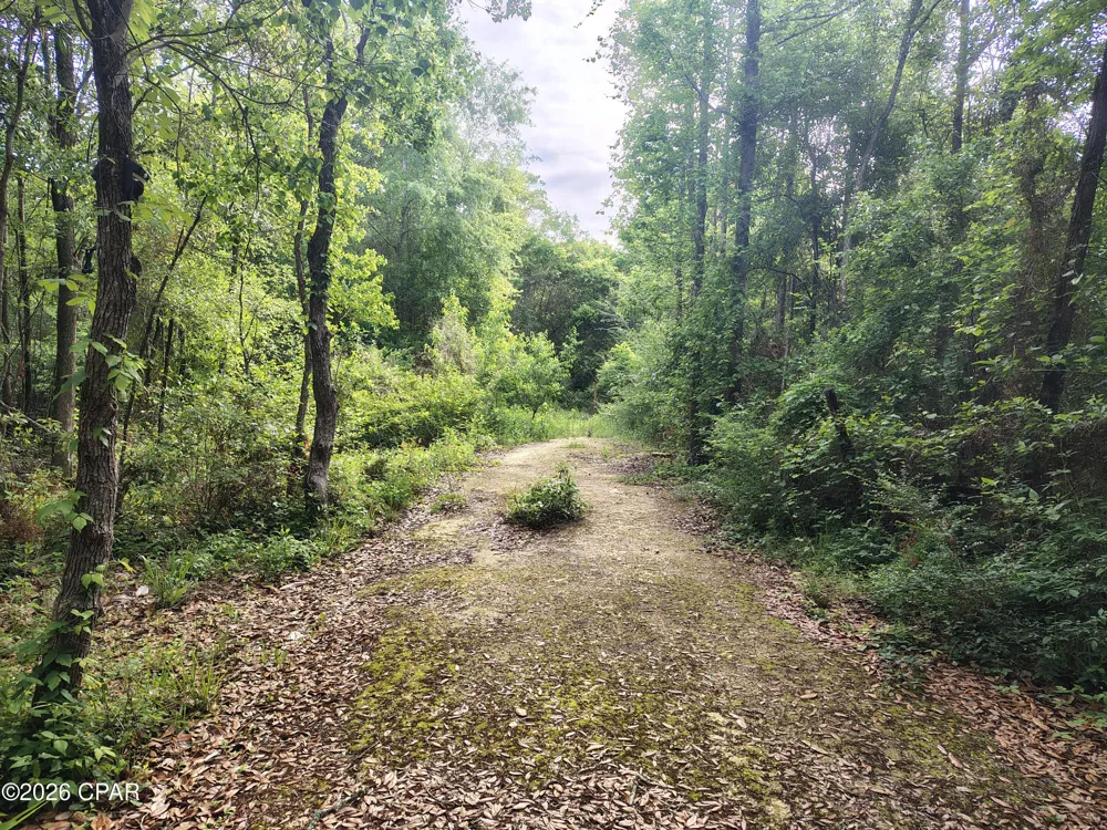 1414 Highway 2 Graceville, FL 32440