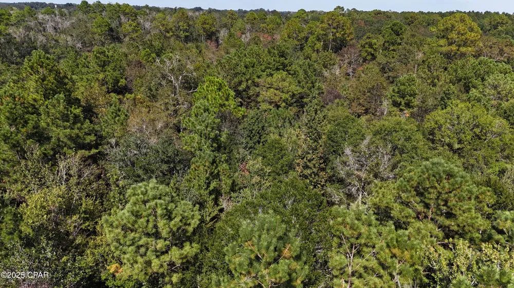 1414 Highway 2 Graceville, FL 32440