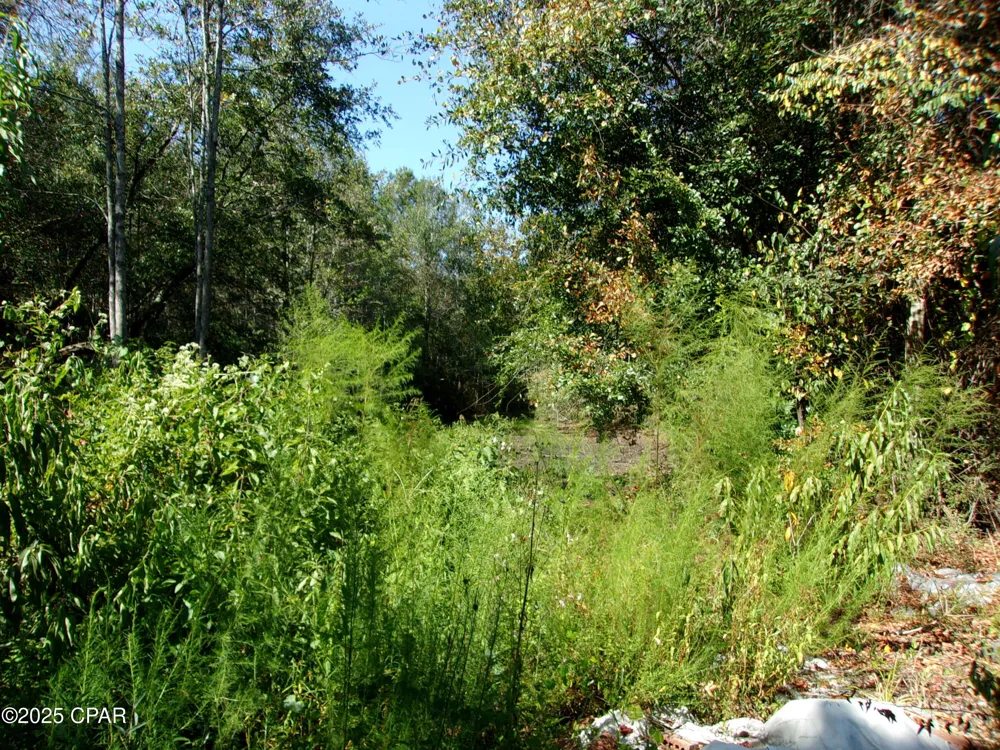 1414 Highway 2 Graceville, FL 32440