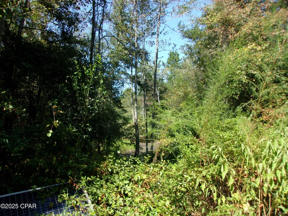 1414 Highway 2 Graceville, FL 32440