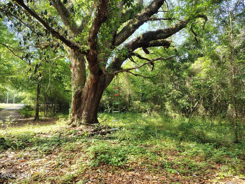 1414 Highway 2 Graceville, FL 32440