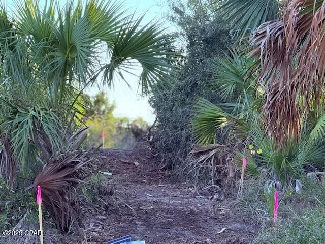 County Rd 30A Port St Joe, FL 32456