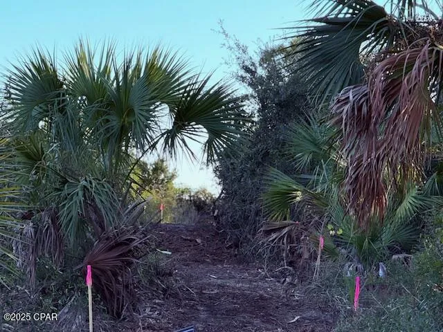 County Rd 30A Port St Joe, FL 32456