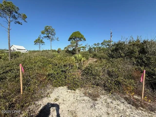 County Rd 30A Port St Joe, FL 32456