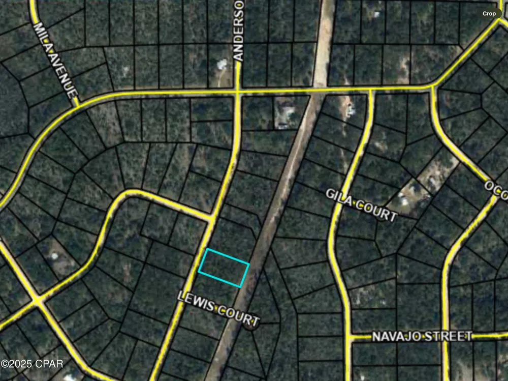 Anderson Drive Alford, FL 32420
