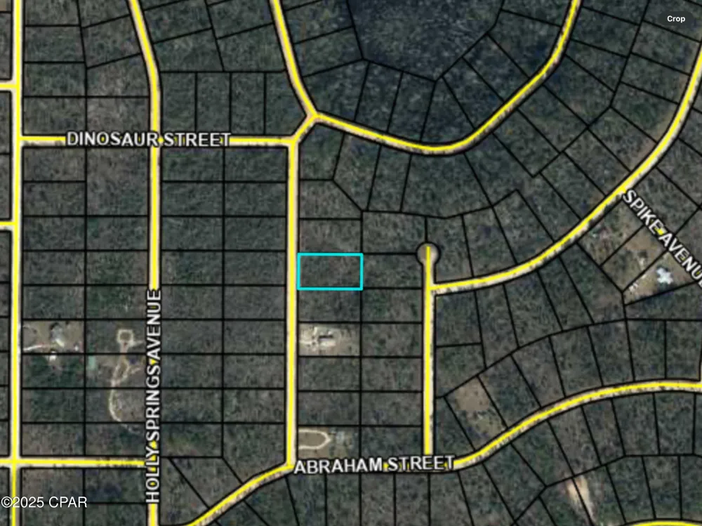 Chattahoochee Avenue Alford, FL 32420