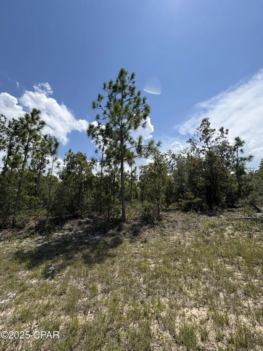 15 Trellis Drive Chipley, FL 32428