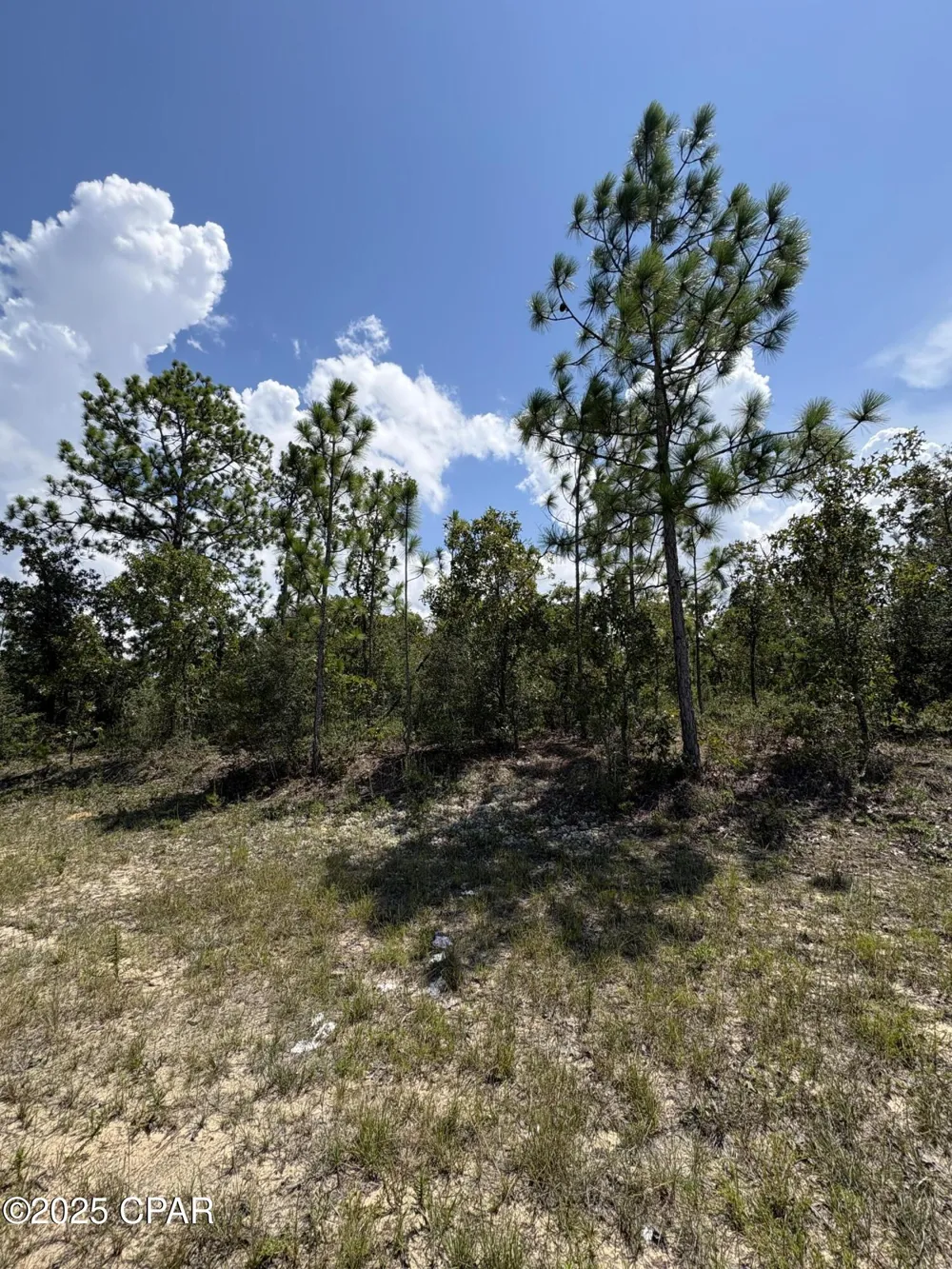 15 Trellis Drive Chipley, FL 32428