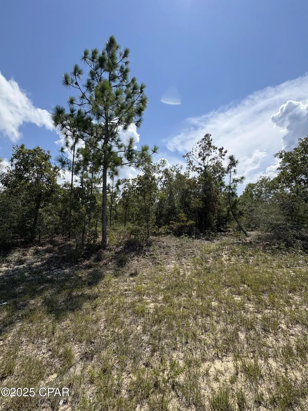 15 Trellis Drive Chipley, FL 32428