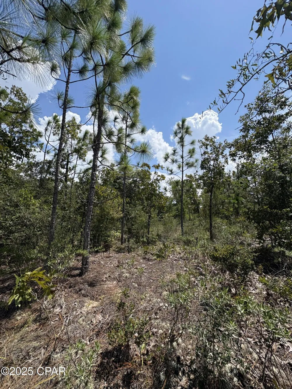 15 Trellis Drive Chipley, FL 32428