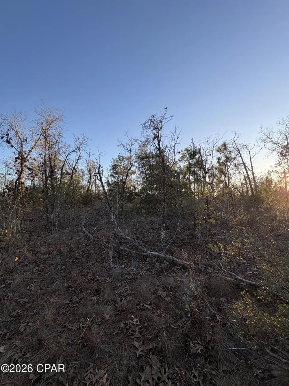 15 Trellis Drive Chipley, FL 32428