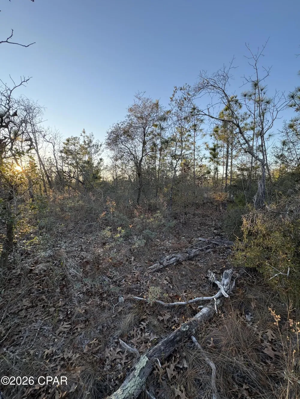 15 Trellis Drive Chipley, FL 32428