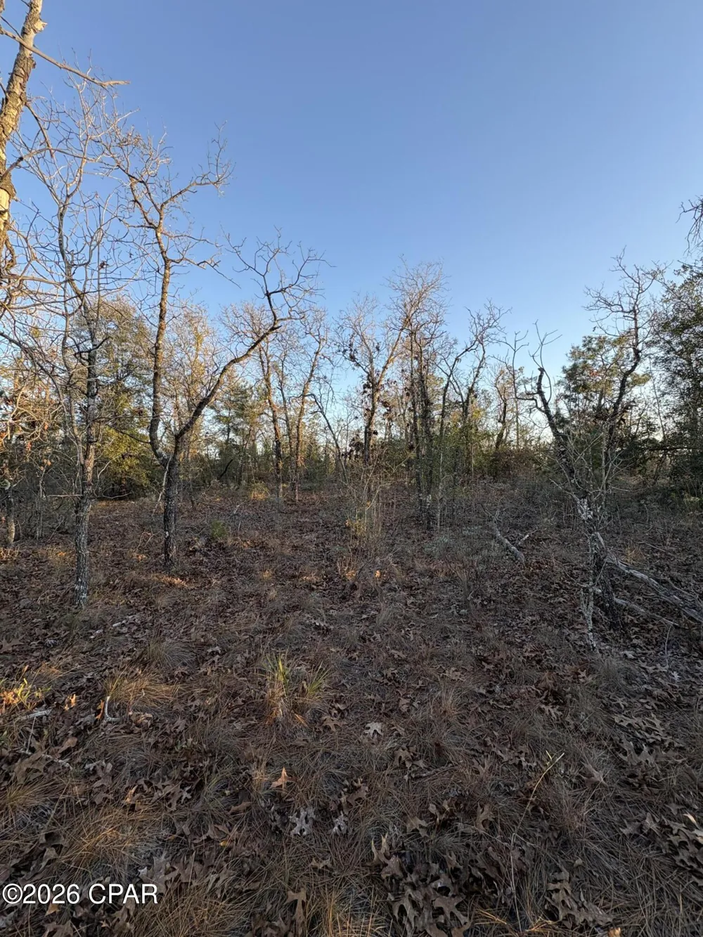 15 Trellis Drive Chipley, FL 32428