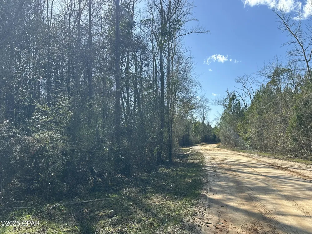 6317 Harris Stevenson Road Bonifay, FL 32425