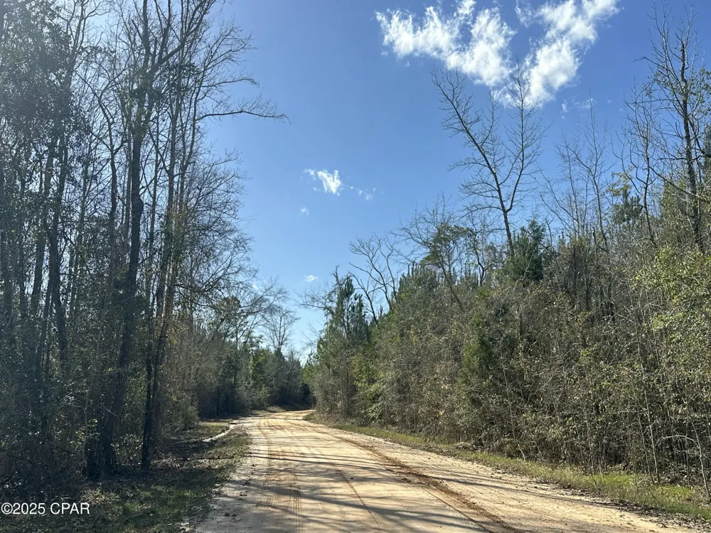 6317 Harris Stevenson Road Bonifay, FL 32425