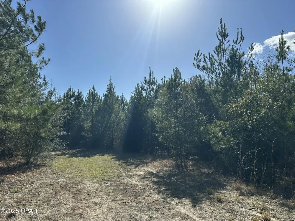 6317 Harris Stevenson Road Bonifay, FL 32425
