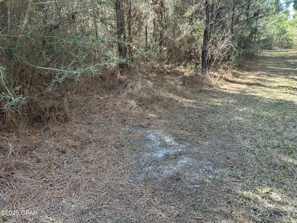 6317 Harris Stevenson Road Bonifay, FL 32425