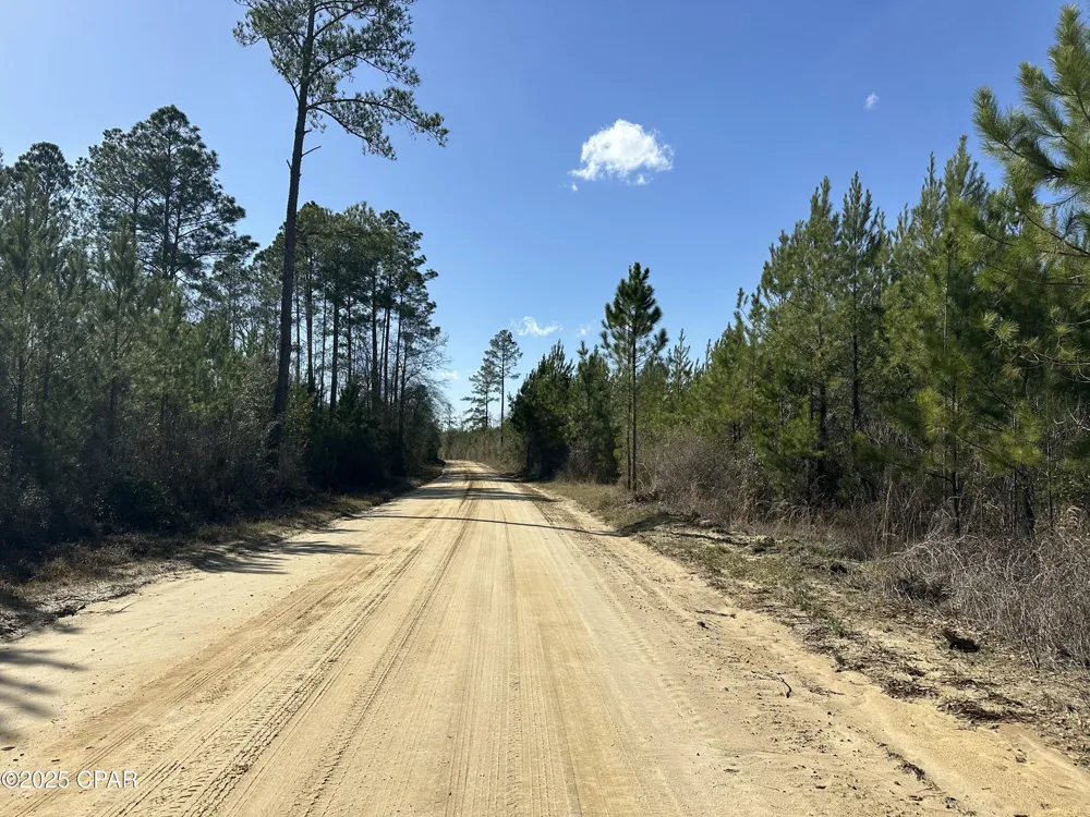 6317 Harris Stevenson Road Bonifay, FL 32425